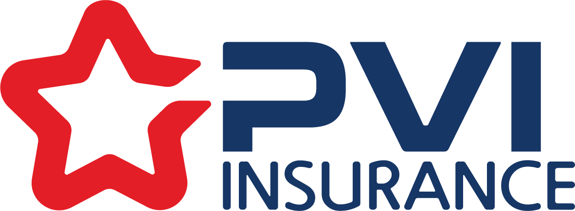 PVI Logo